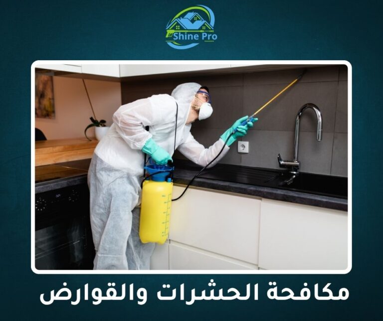 شركة مكافحة الحشرات والقوارض في القاهرة